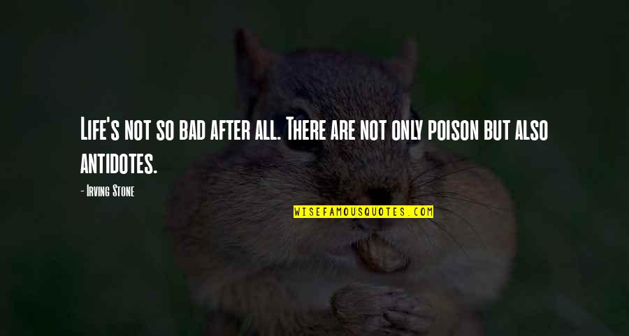 Life So Bad Quotes By Irving Stone: Life's not so bad after all. There are