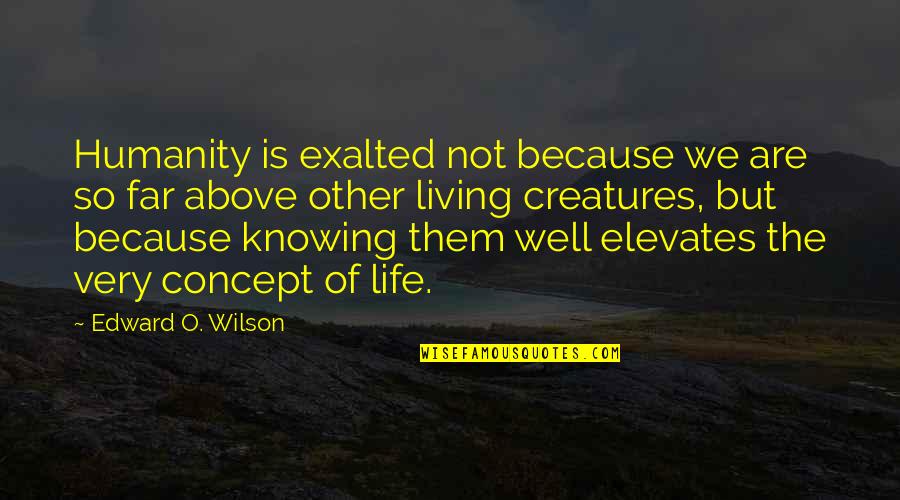 Life So Far Quotes By Edward O. Wilson: Humanity is exalted not because we are so Life So Far Quotes By Edward O. Wilson: Humanity is exalted not because we are so
