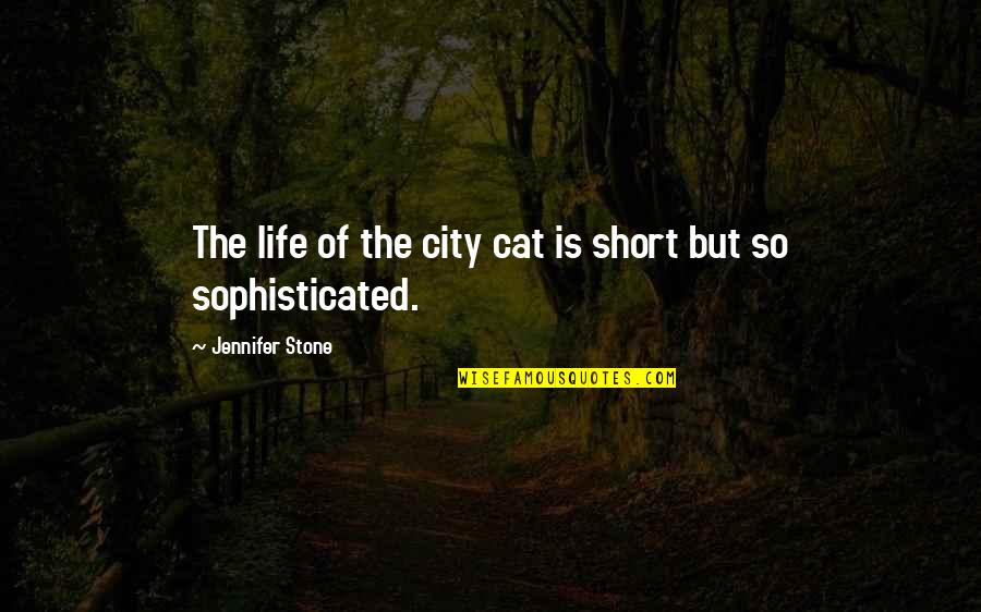 Life So Short Quotes By Jennifer Stone: The life of the city cat is short