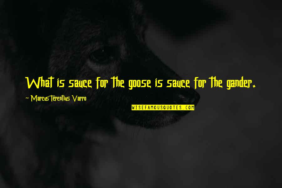 Life So Stressful Quotes By Marcus Terentius Varro: What is sauce for the goose is sauce