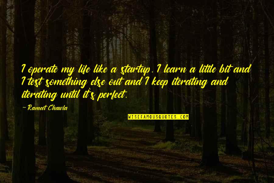 Life Something Like It Quotes By Rameet Chawla: I operate my life like a startup. I