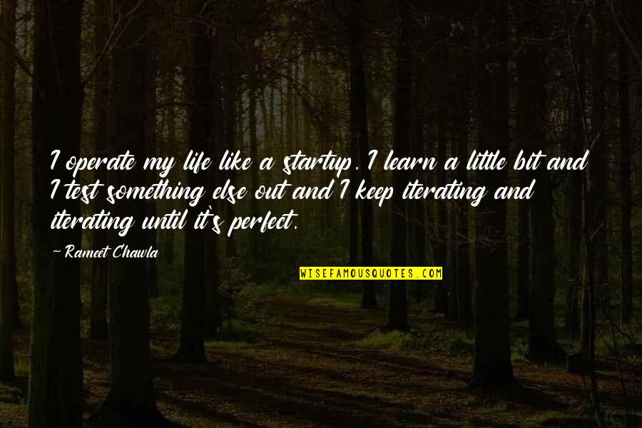 Life Something Like Quotes By Rameet Chawla: I operate my life like a startup. I