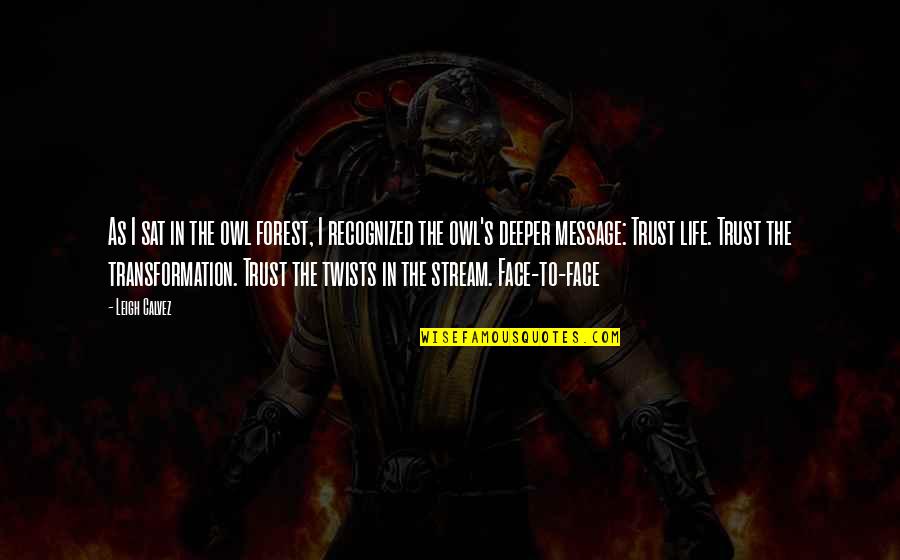 Life Stream Quotes By Leigh Calvez: As I sat in the owl forest, I Life Stream Quotes By Leigh Calvez: As I sat in the owl forest, I