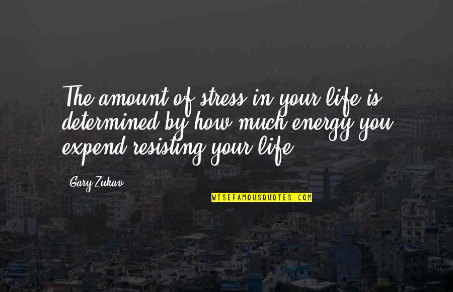 Life Stress Quotes By Gary Zukav: The amount of stress in your life is