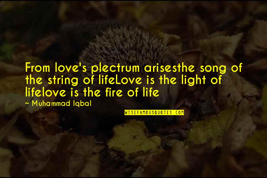 Life String Quotes By Muhammad Iqbal: From love's plectrum arisesthe song of the string