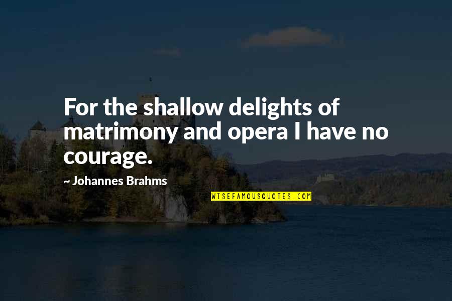Life Sudden Change Quotes By Johannes Brahms: For the shallow delights of matrimony and opera