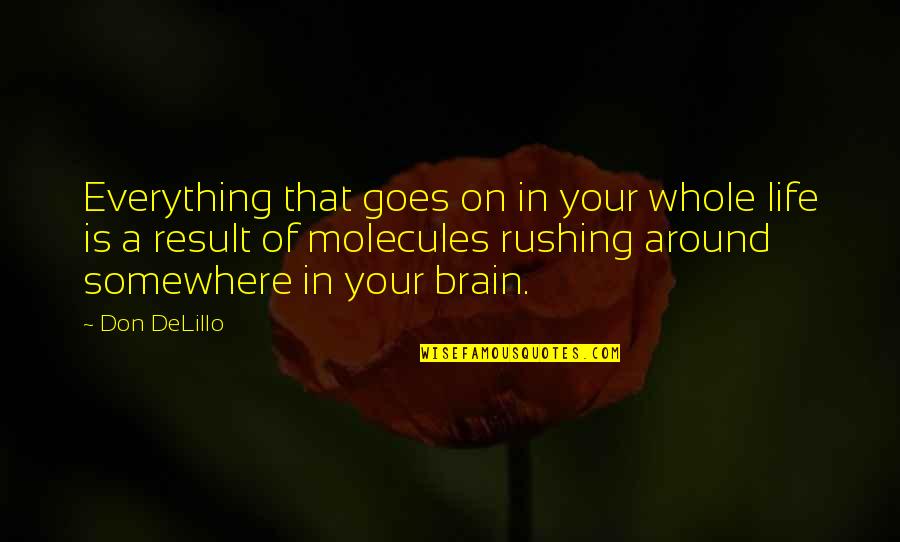 Life That Goes On Quotes By Don DeLillo: Everything that goes on in your whole life