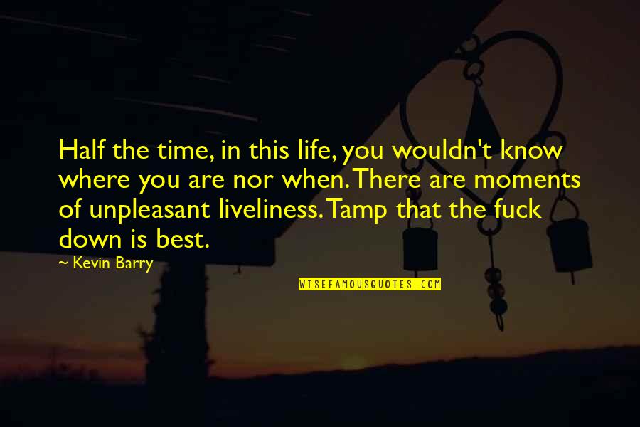 Life The Best Quotes By Kevin Barry: Half the time, in this life, you wouldn't