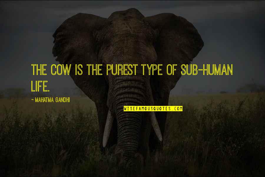 Life The Quotes By Mahatma Gandhi: The cow is the purest type of sub-human Life The Quotes By Mahatma Gandhi: The cow is the purest type of sub-human