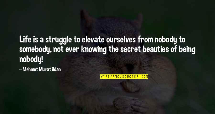 Life The Secret Quotes By Mehmet Murat Ildan: Life is a struggle to elevate ourselves from