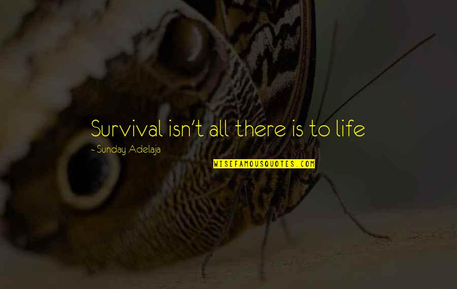 Life Time Love Quotes By Sunday Adelaja: Survival isn't all there is to life