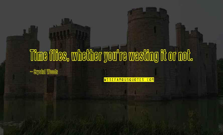 Life Time Wasting Quotes By Crystal Woods: Time flies, whether you're wasting it or not.