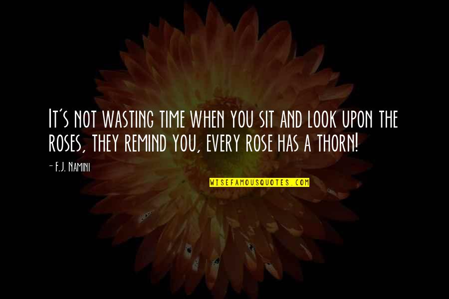 Life Time Wasting Quotes By F.J. Namini: It's not wasting time when you sit and