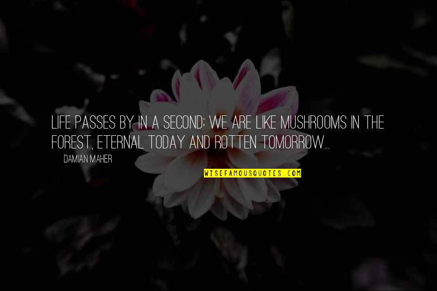 Life Today Tomorrow Quotes By Damian Maher: Life passes by in a second; we are