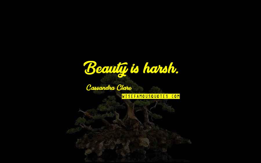 Life Videos Quotes By Cassandra Clare: Beauty is harsh.