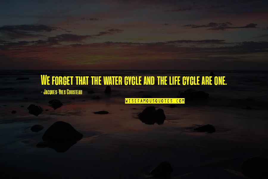 Life Water Quotes By Jacques-Yves Cousteau: We forget that the water cycle and the