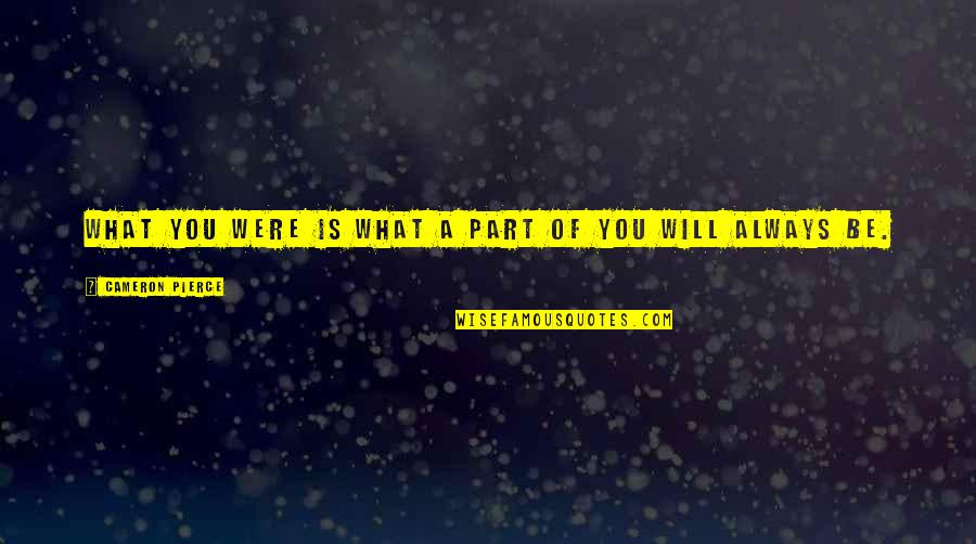 Life Will Always Quotes By Cameron Pierce: What you were is what a part of Life Will Always Quotes By Cameron Pierce: What you were is what a part of