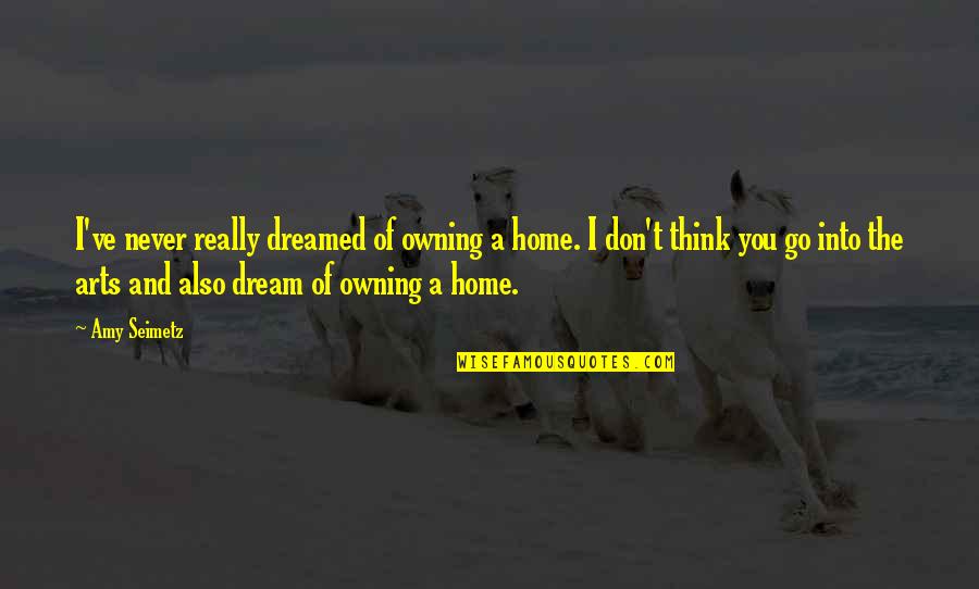 Life Will Smile Again Quotes By Amy Seimetz: I've never really dreamed of owning a home.