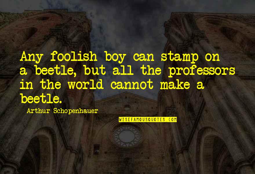 Life With Animals Quotes By Arthur Schopenhauer: Any foolish boy can stamp on a beetle,