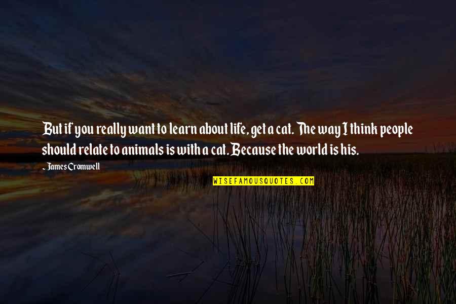 Life With Animals Quotes By James Cromwell: But if you really want to learn about