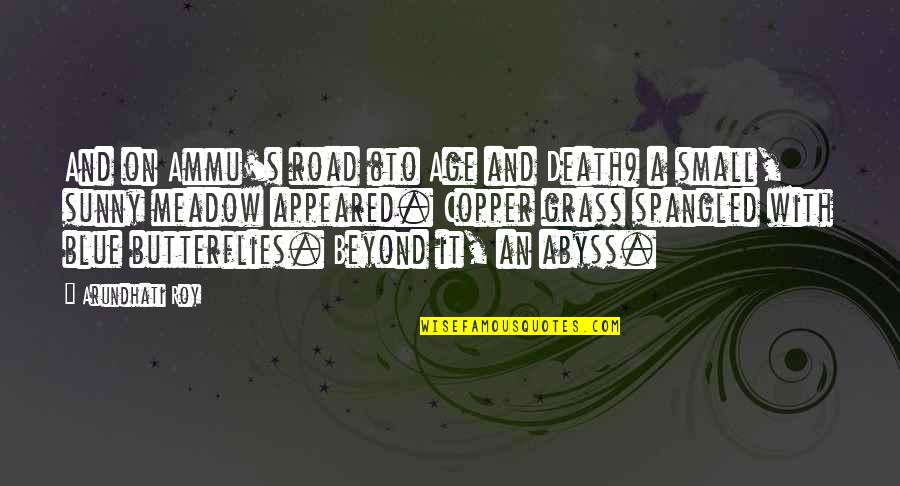 Life With Death Quotes By Arundhati Roy: And on Ammu's road (to Age and Death)