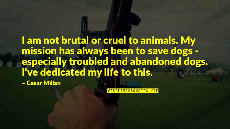 Life With Dogs Quotes By Cesar Millan: I am not brutal or cruel to animals.