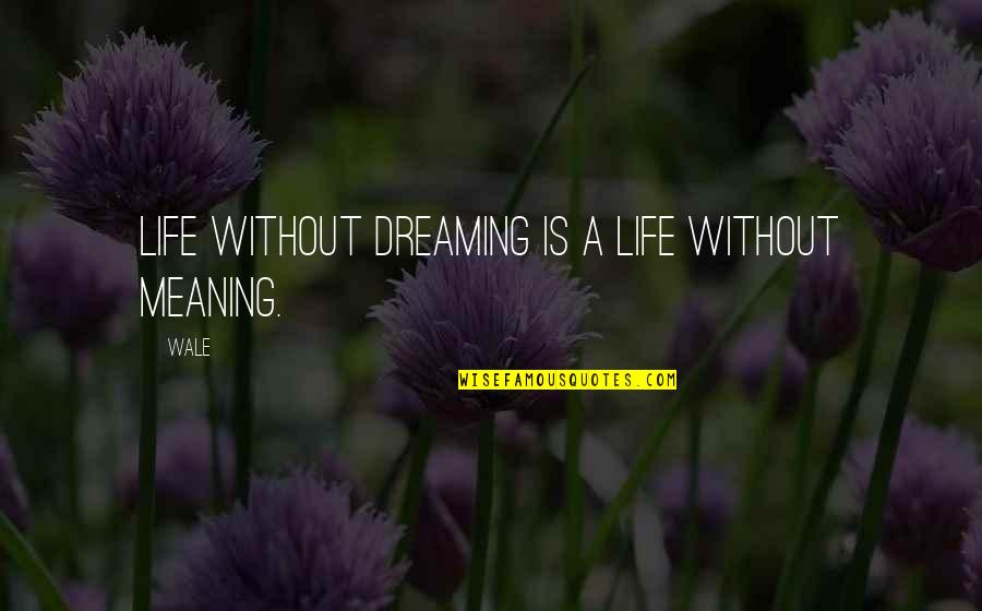 Life Without A Dream Quotes By Wale: Life without dreaming is a life without meaning.