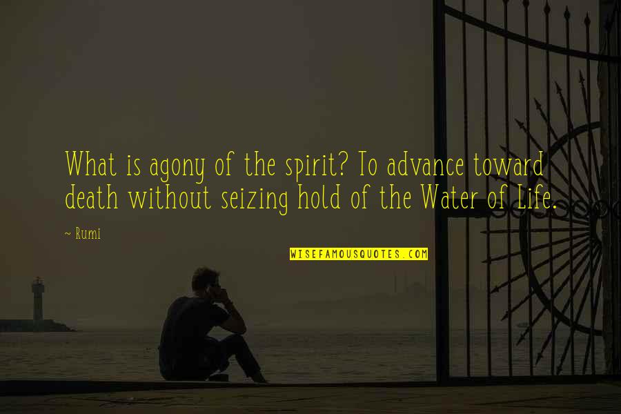 Life Without Death Quotes By Rumi: What is agony of the spirit? To advance