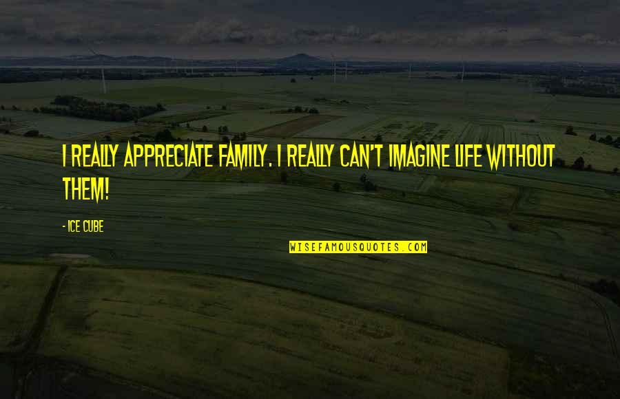 Life Without Family Quotes By Ice Cube: I really appreciate family. I really can't imagine