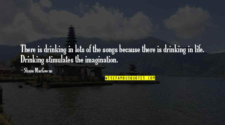 Life Without Imagination Quotes By Shane MacGowan: There is drinking in lots of the songs