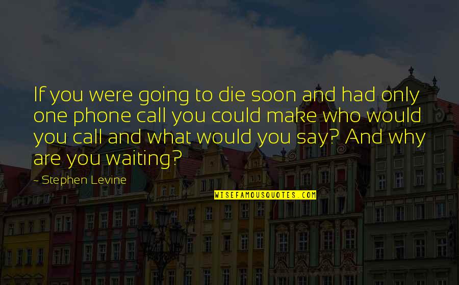 Life Without My Phone Quotes By Stephen Levine: If you were going to die soon and