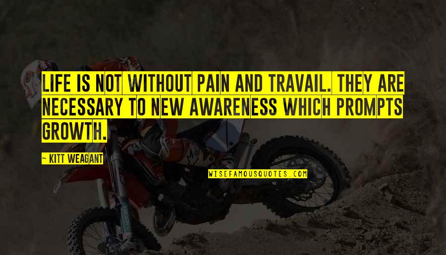 Life Without Pain Quotes By Kitt Weagant: Life is not without pain and travail. They Life Without Pain Quotes By Kitt Weagant: Life is not without pain and travail. They