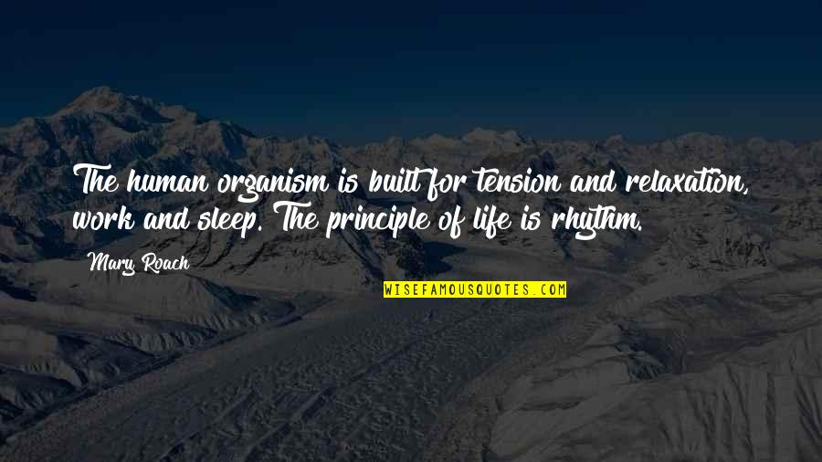 Life Without Principle Quotes By Mary Roach: The human organism is built for tension and