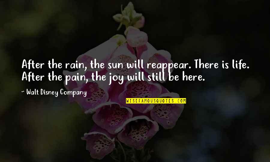 Life Without Sun Quotes By Walt Disney Company: After the rain, the sun will reappear. There