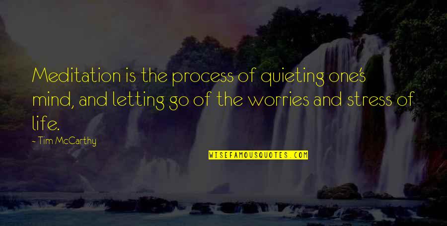Life Without Worries Quotes By Tim McCarthy: Meditation is the process of quieting one's mind,