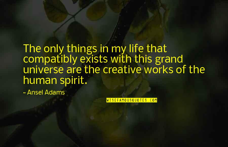 Life Works Quotes By Ansel Adams: The only things in my life that compatibly