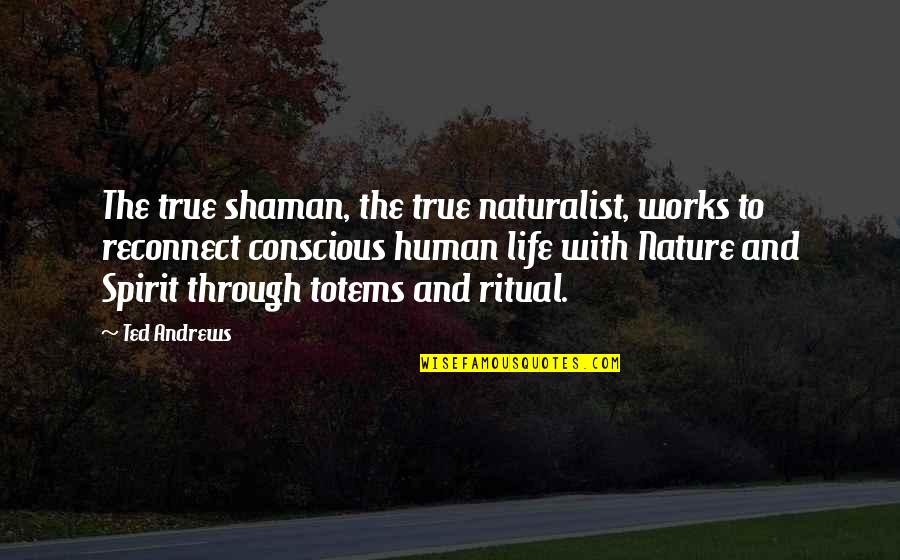 Life Works Quotes By Ted Andrews: The true shaman, the true naturalist, works to