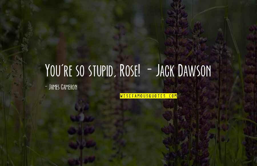 Life World Shut Out Bus Quotes By James Cameron: You're so stupid, Rose! - Jack Dawson Life World Shut Out Bus Quotes By James Cameron: You're so stupid, Rose! - Jack Dawson