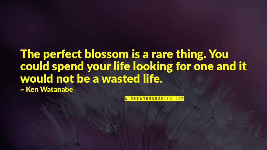 Life Would Be Perfect Quotes By Ken Watanabe: The perfect blossom is a rare thing. You