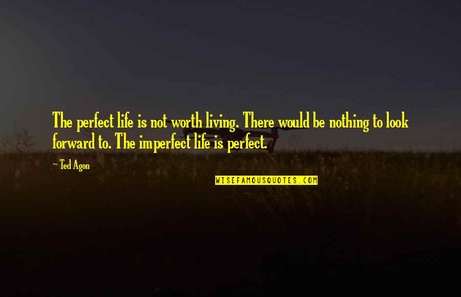 Life Would Be Perfect Quotes By Ted Agon: The perfect life is not worth living. There