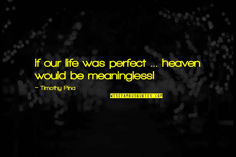 Life Would Be Perfect Quotes By Timothy Pina: If our life was perfect ... heaven would