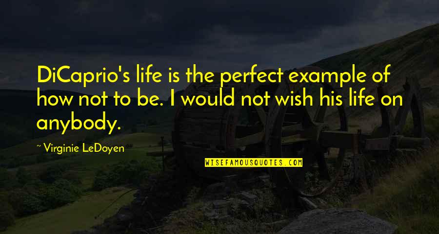 Life Would Be Perfect Quotes By Virginie LeDoyen: DiCaprio's life is the perfect example of how