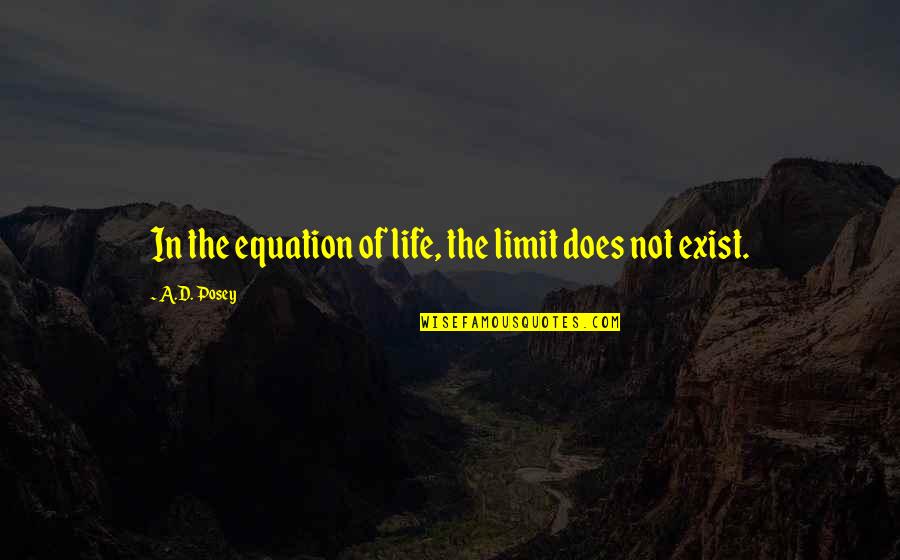 Life Writers Quotes By A.D. Posey: In the equation of life, the limit does
