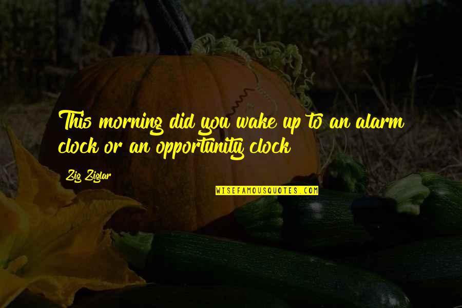 Lifeguard Chair Quotes By Zig Ziglar: This morning did you wake up to an