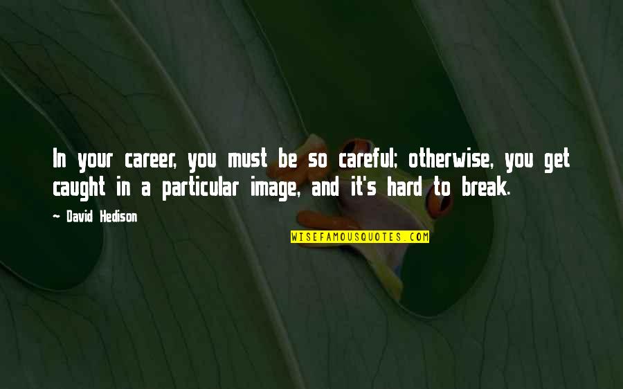 Lifelong Crush Quotes By David Hedison: In your career, you must be so careful;