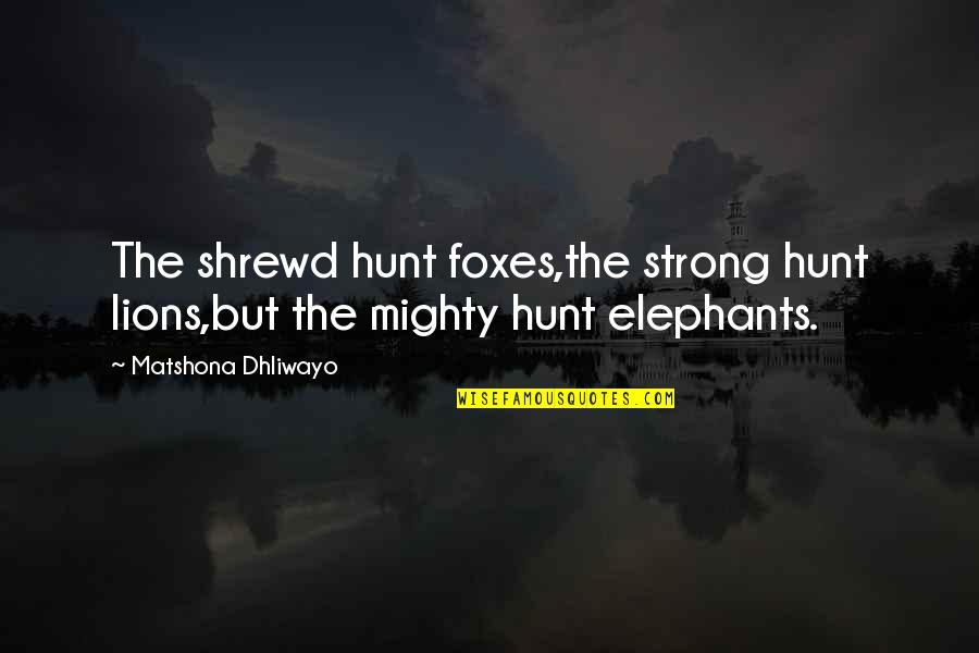 Lifemark Physiotherapy Quotes By Matshona Dhliwayo: The shrewd hunt foxes,the strong hunt lions,but the