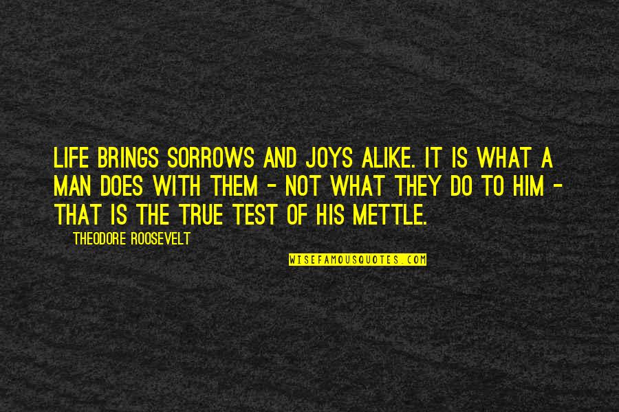 Life's Joys Quotes By Theodore Roosevelt: Life brings sorrows and joys alike. It is