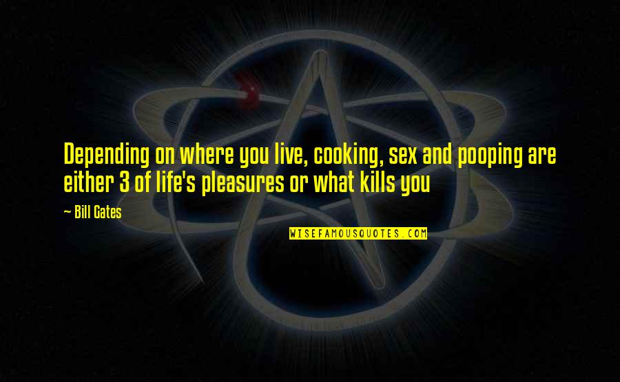 Life's Pleasures Quotes By Bill Gates: Depending on where you live, cooking, sex and