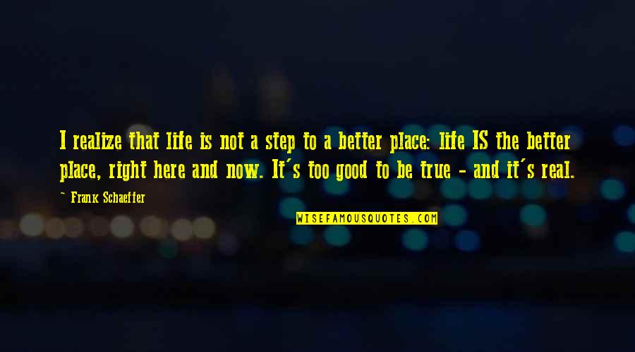 Life's Too Good To Be True Quotes By Frank Schaeffer: I realize that life is not a step