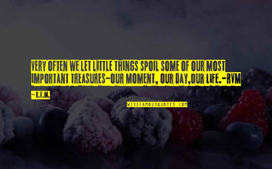 Life's Treasures Quotes By R.v.m.: Very often we let little things spoil some